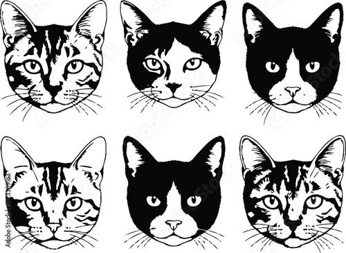 Six cat faces in black and white with different patterns and markings in a symmetrical arrangement