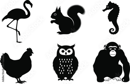 Animal silhouette set, flamingo, squirrel, seahorse, chicken, owl, chimpanzee icons, black vector shapes, nature symbols, wildlife graphic design