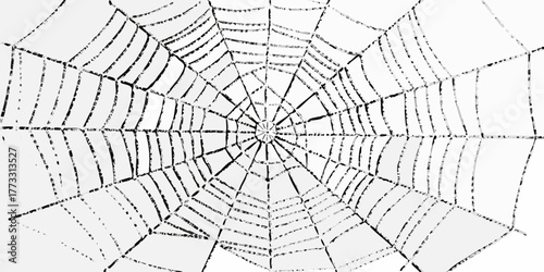 Intricate black and white spiderweb pattern on a white background