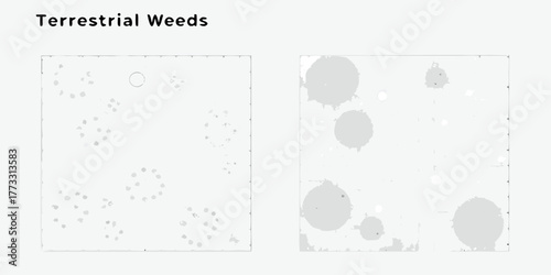 Abstract representation of terrestrial weed patterns and distribution in two distinct visual formats