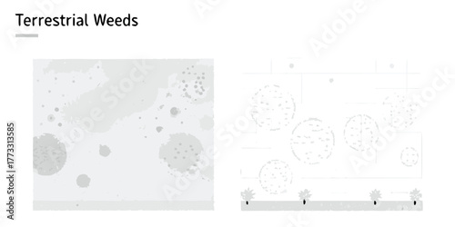 Abstract representation of terrestrial weeds in a garden setting with scattered plant growth and pathways
