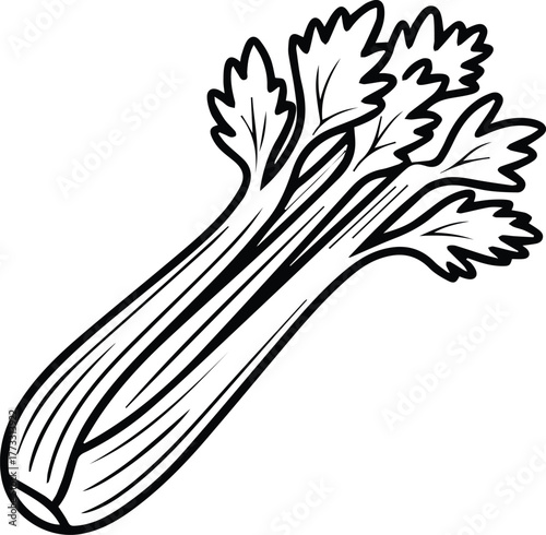 Celery Stalk Outline Vector Icon