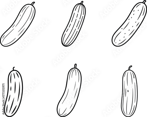 Cucumber Outline Vector Icons Set, Line Art