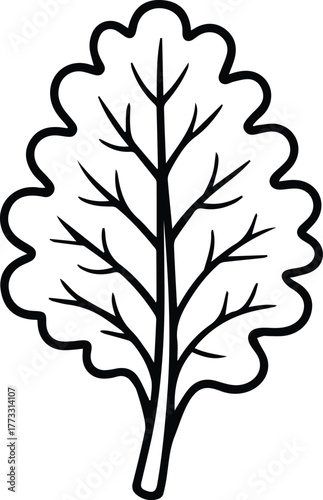 kale leaf outline vector icon