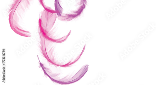 Delicate pink and purple feathers floating gently on a clean white background