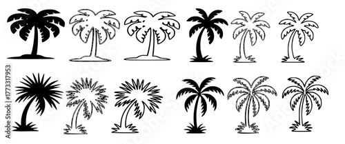 Palm Tree Vector Set, Black Silhouettes & Outline Icons for Tropical Summer Logo