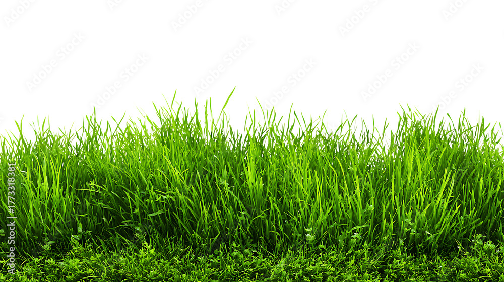Fototapeta premium Lush green grass texture isolated on transparent background, perfect for seamless pattern design