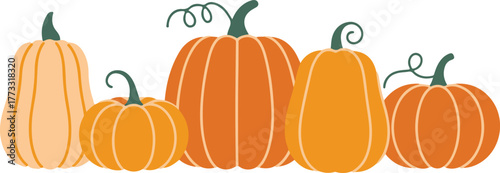 Arrangement of Five Cartoon Pumpkins in Varied Shapes and Orange Hues, Isolated on White