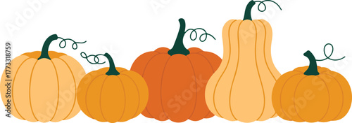 Cartoon Pumpkins and Butternut Squash Arrangement Flat Design, Fall Harvest Vegetables and Decorative Illustration