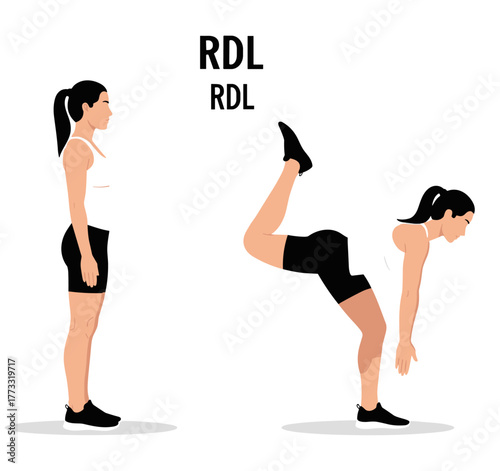 Romanian Deadlift illustration, female fitness exercise vector showing starting and mid-movement posture for balance, strength, and flexibility training