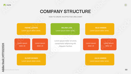 Company Structure