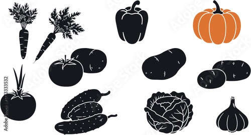 Set of fresh vegetables including tomato, pepper, onion, and carrot for a healthy, organic food collection isolated on white