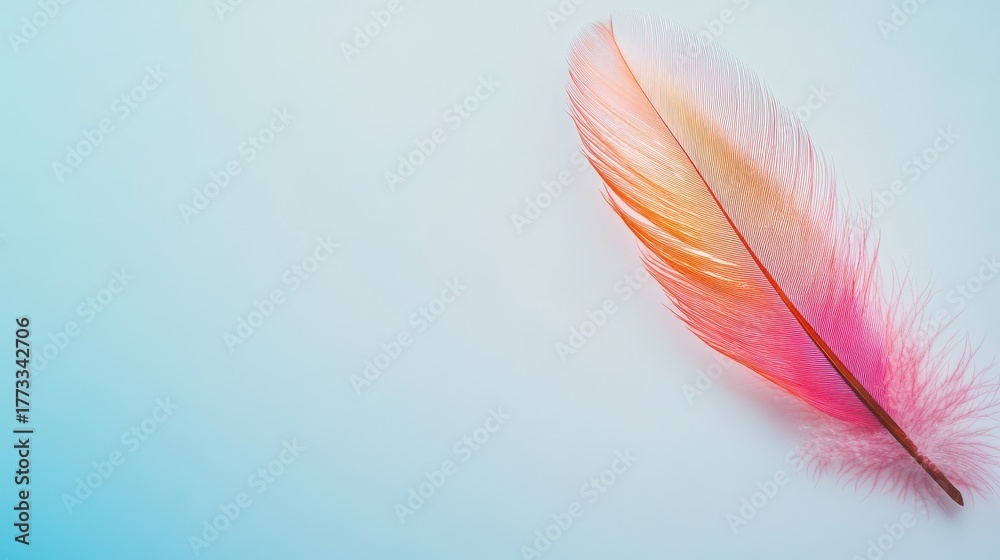 Naklejka premium Colorful feather rests on a soft blue background showcasing delicate details and vibrant hues in natural light during daytime