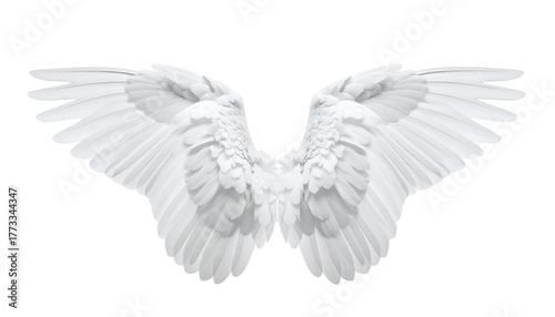 Open white wings, feather detail, perfect symmetry, pure white background