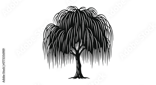 Elegant weeping willow tree rendered in a striking black silhouette against a white background