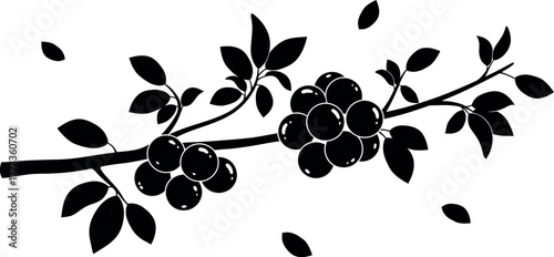 Silhouette illustration of a branch with berries and leaves