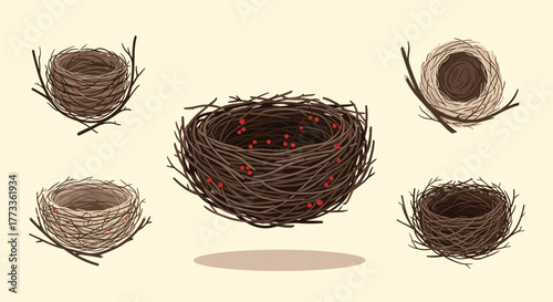 A collection of five intricately woven bird nests, crafted from twigs and branches, some featuring small red berries, isolated on a light background.