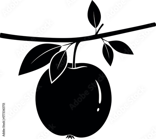 Silhouette of apple fruit hanging on branch with leaves