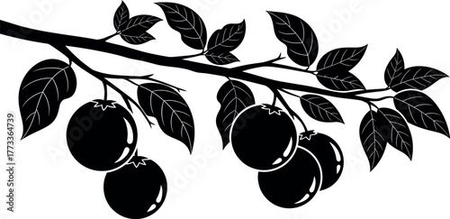 Silhouetted fruit tree branch with leaves and ripe produce.