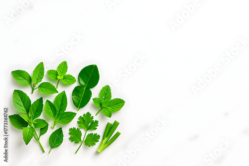 Fresh green cooking herbs flat lay with basil mint lime leaves and cilantro
