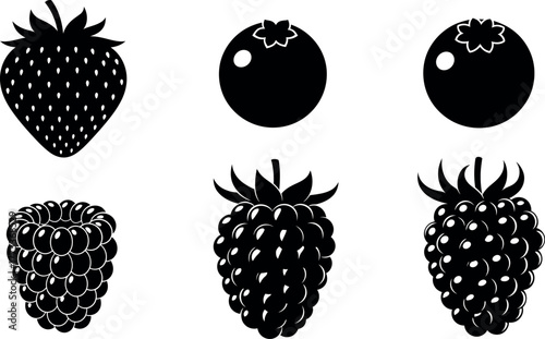 Black berry fruit icons set vector illustration design elements