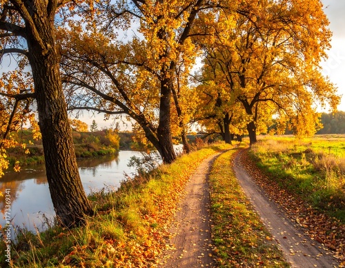 Scenic autumn river scene with a winding dirt path and golden trees