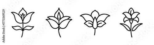 Set of four line art stylized hosta flowers botanical drawing graphic elements