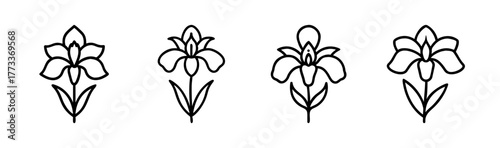 Four delicate outline iris flowers simple botanical sketch delicate floral art botanical designs