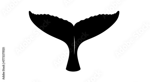 Black silhouette of a whale tail fluke on a white background