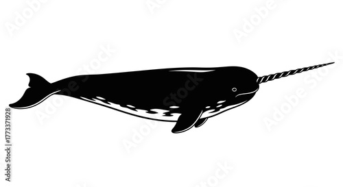 Black silhouette of a narwhal with a long spiral tusk