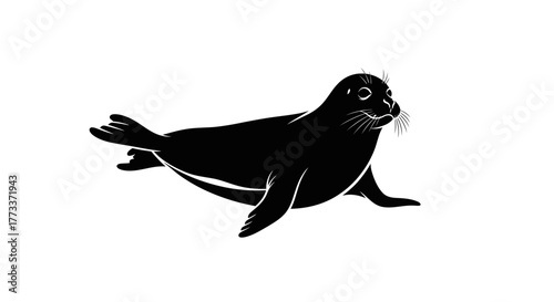 Black silhouette of a seal on a white background