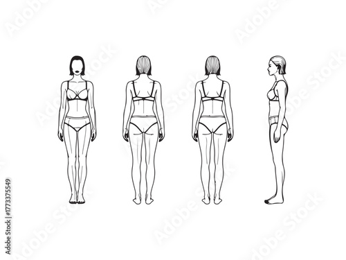 Illustration of a womans body in underwear from different angles for fashion or health purposes