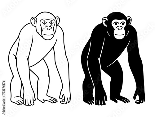 Chimpanzee Vector Illustration, Outline and Silhouette Versions