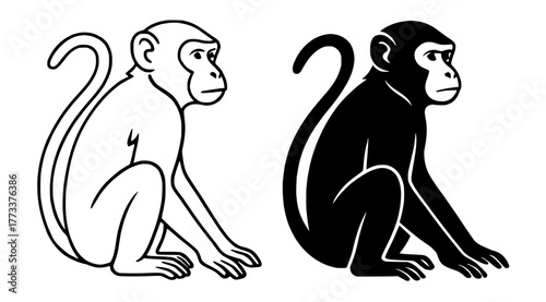 Monkey Vector Illustration, Outline and Silhouette Versions