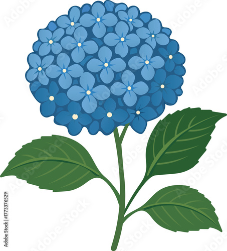 Blue Hydrangea Flower Plant Illustration
