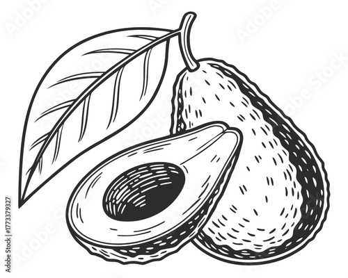 Illustration of a whole avocado and a halved avocado with a leaf in black and white style drawing created with generated ai