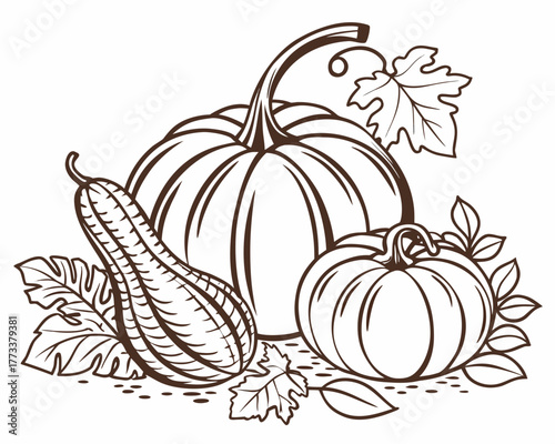 Outlined pumpkins and squash with leaves arranged in a decorative fall harvest still life drawing style created with generated ai