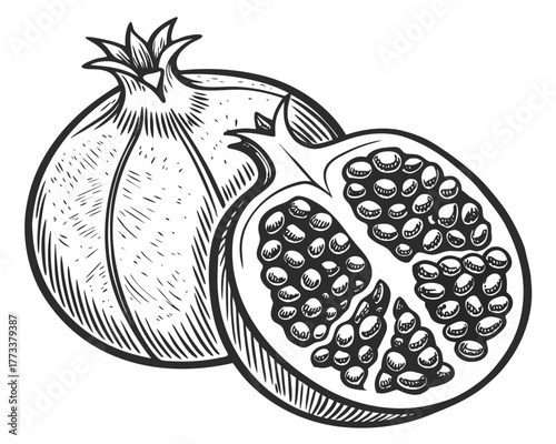 Illustration of a whole pomegranate and a half pomegranate with visible seeds in black and white style created with generated ai