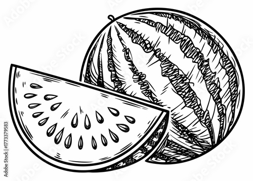 Illustration of a whole watermelon and a slice with seeds in black and white sketch style drawing art created with generated ai