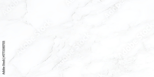abstract polished and smooth curved black lines are surrounding randomly on white background as Marble granite white background wall surface.