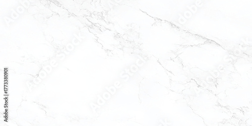 abstract polished and smooth curved black lines are surrounding randomly on white background as Marble granite white background wall surface.