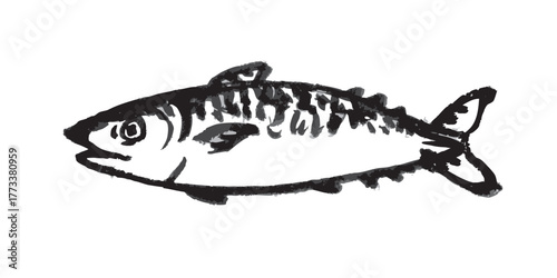 鯖　墨絵　イラスト