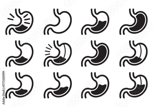 Human Stomach Icon Set – Medical Anatomy Vector Illustrations for Healthcare and Biology Design