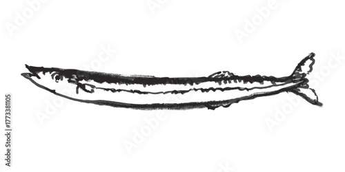 秋刀魚　墨絵　イラスト