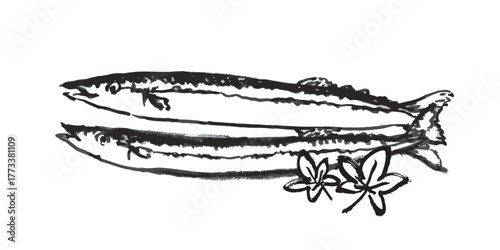秋刀魚　墨絵　イラスト