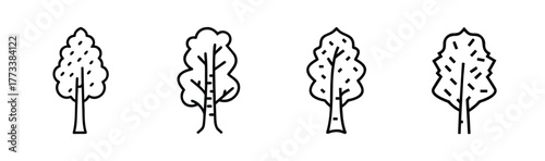 Simple hand drawn sketch style birch trees collection natural woodland elements