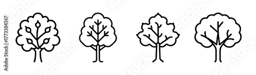 Set of four stylized linden trees with simple outlines and leaves detail