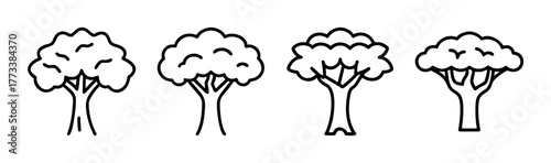 Four stylized line art trees featuring distinct crown shapes and branching patterns
