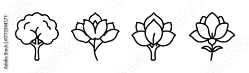 Collection of delicate line art magnolia flower icons with leafy accents