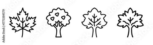 Four simple outline trees and leaf shapes representing different tree types